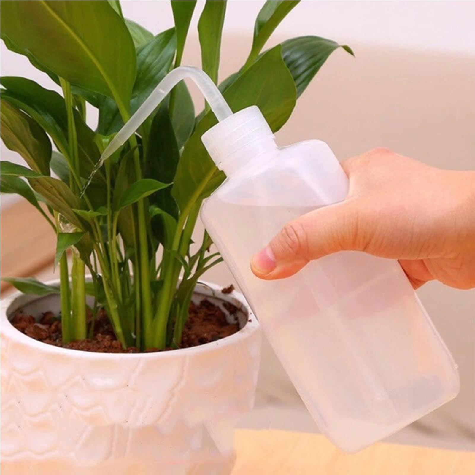 Squeeze Wash Bottle 250ml Safe - đánh giá và giá Food Storage Food Safety