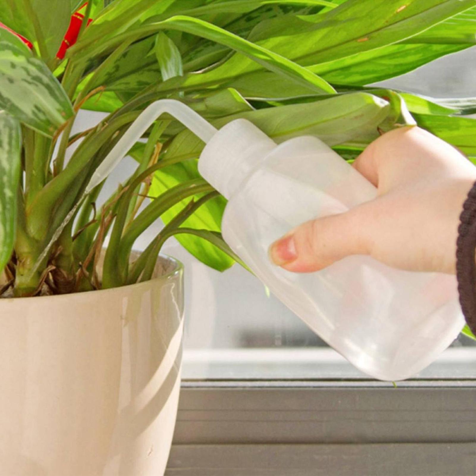 Squeeze Wash Bottle 250ml Safe - đánh giá và giá Food Storage Food Safety