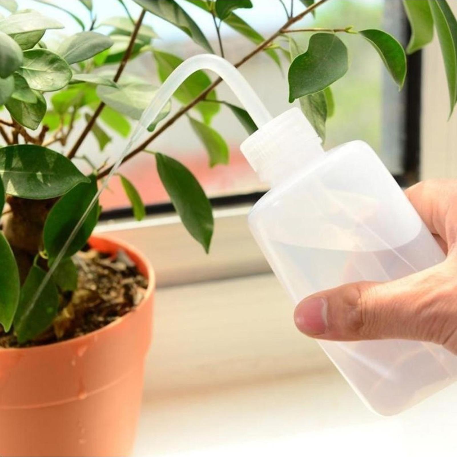 Squeeze Wash Bottle 250ml Safe - đánh giá và giá Food Storage Food Safety