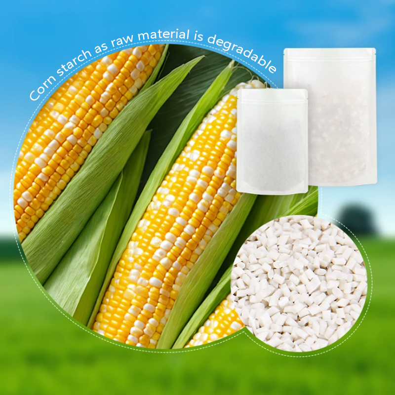 Customized Degradable Kraft Pa - đánh giá và giá Food Storage Plant