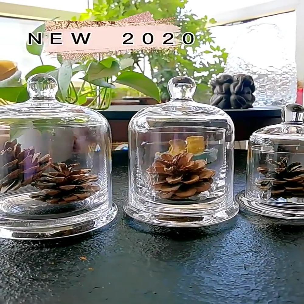 Glass Glass Storage Jar Eterna - đánh giá và giá Food Storage Plant